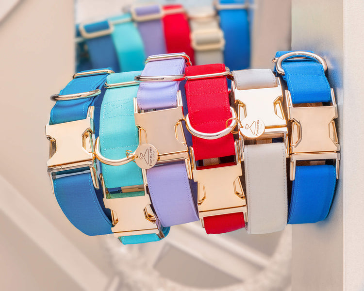 Collares para Perros