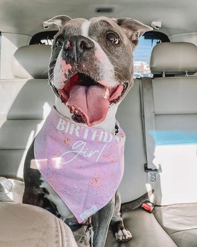 Bandana