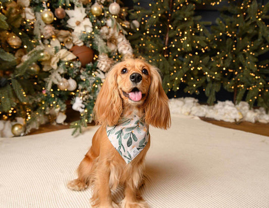 Aguinaldo Dog Bandana