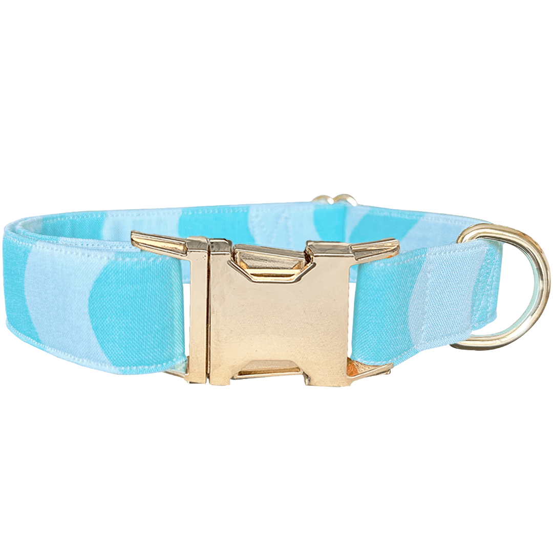 Beach Please Dog Collar