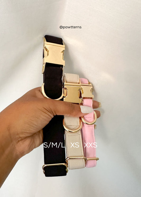 Beach Please Dog Collar