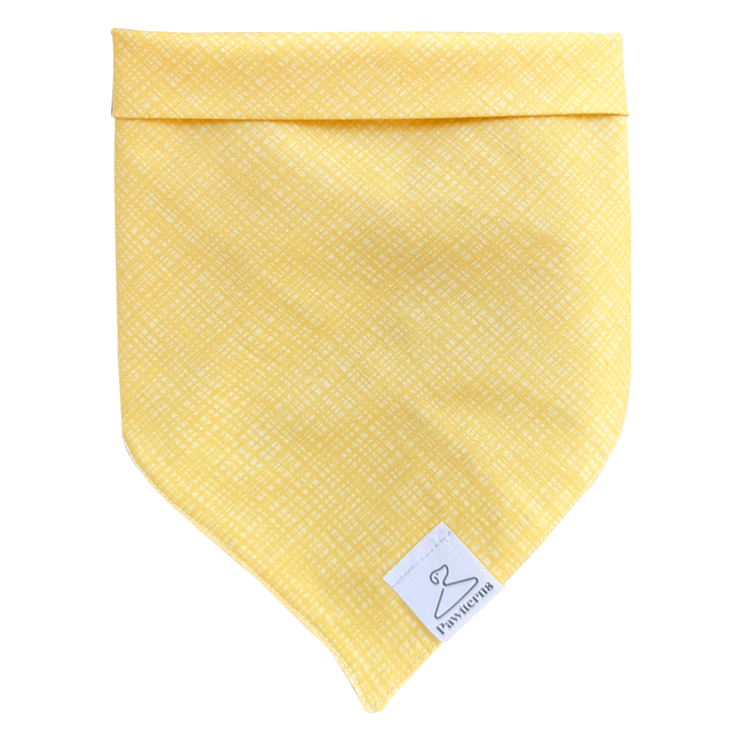 Honey Cat Bandana