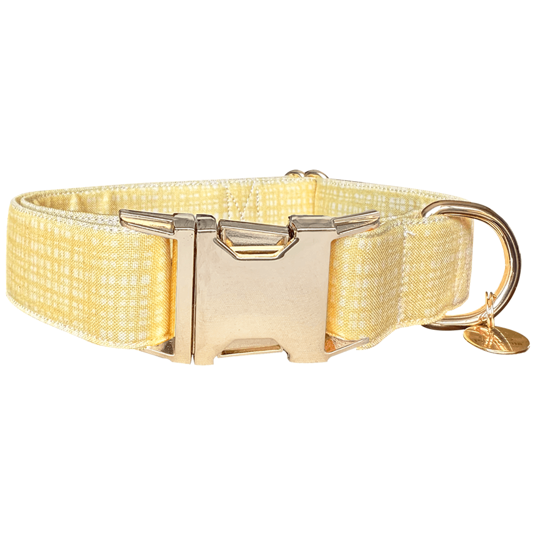 Honey Cat Collar