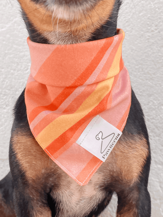 Papaya Dog Bandana