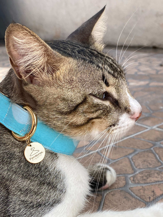 Beach Please Cat Collar
