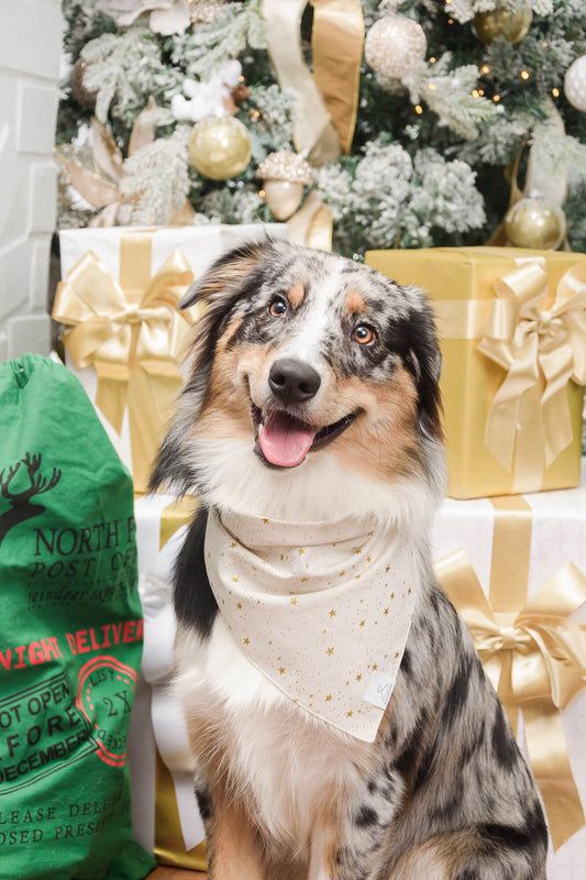 Golden Speckles Dog Bandana