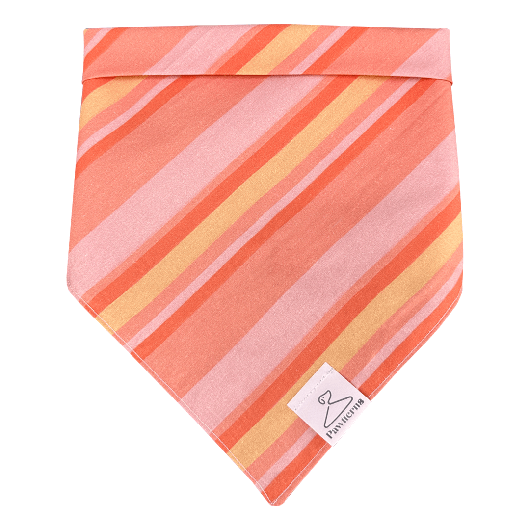 Papaya Dog Bandana