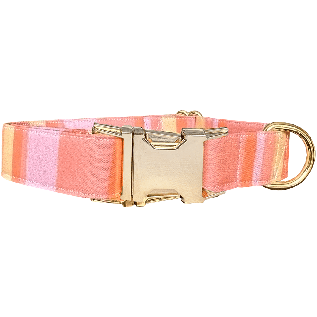 Papaya Dog Collar