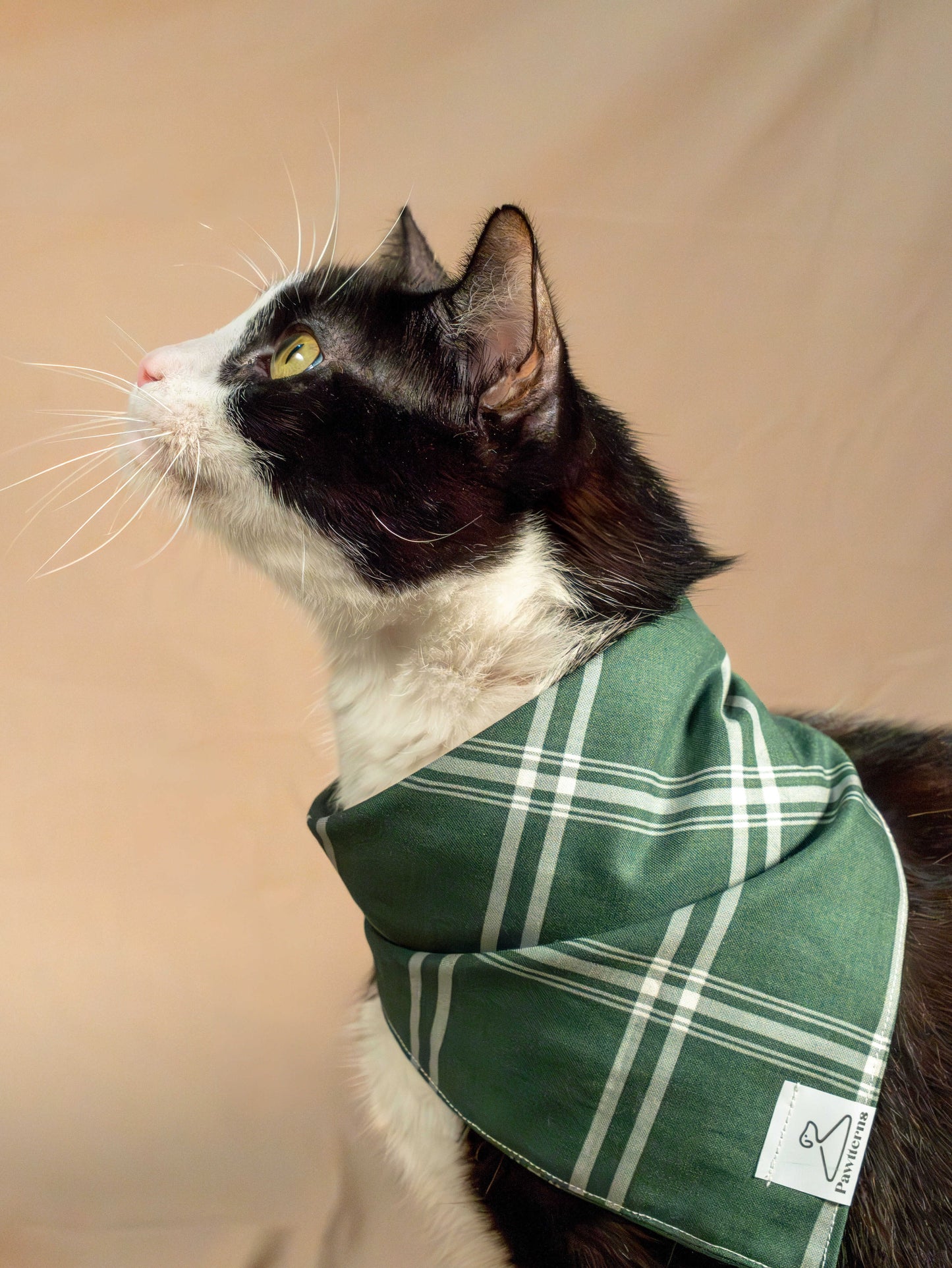 Cozy Season Dog Bandana