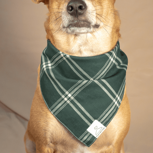 Cozy Season Dog Bandana