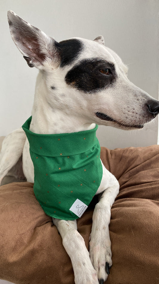 Jungle Glow Dog Bandana