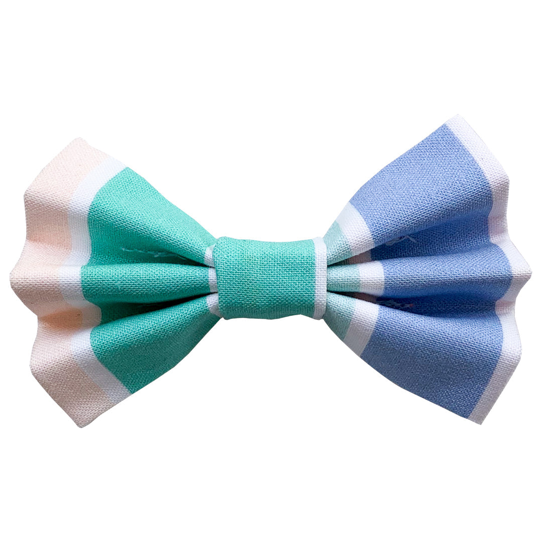 Pride Cat Bow Tie