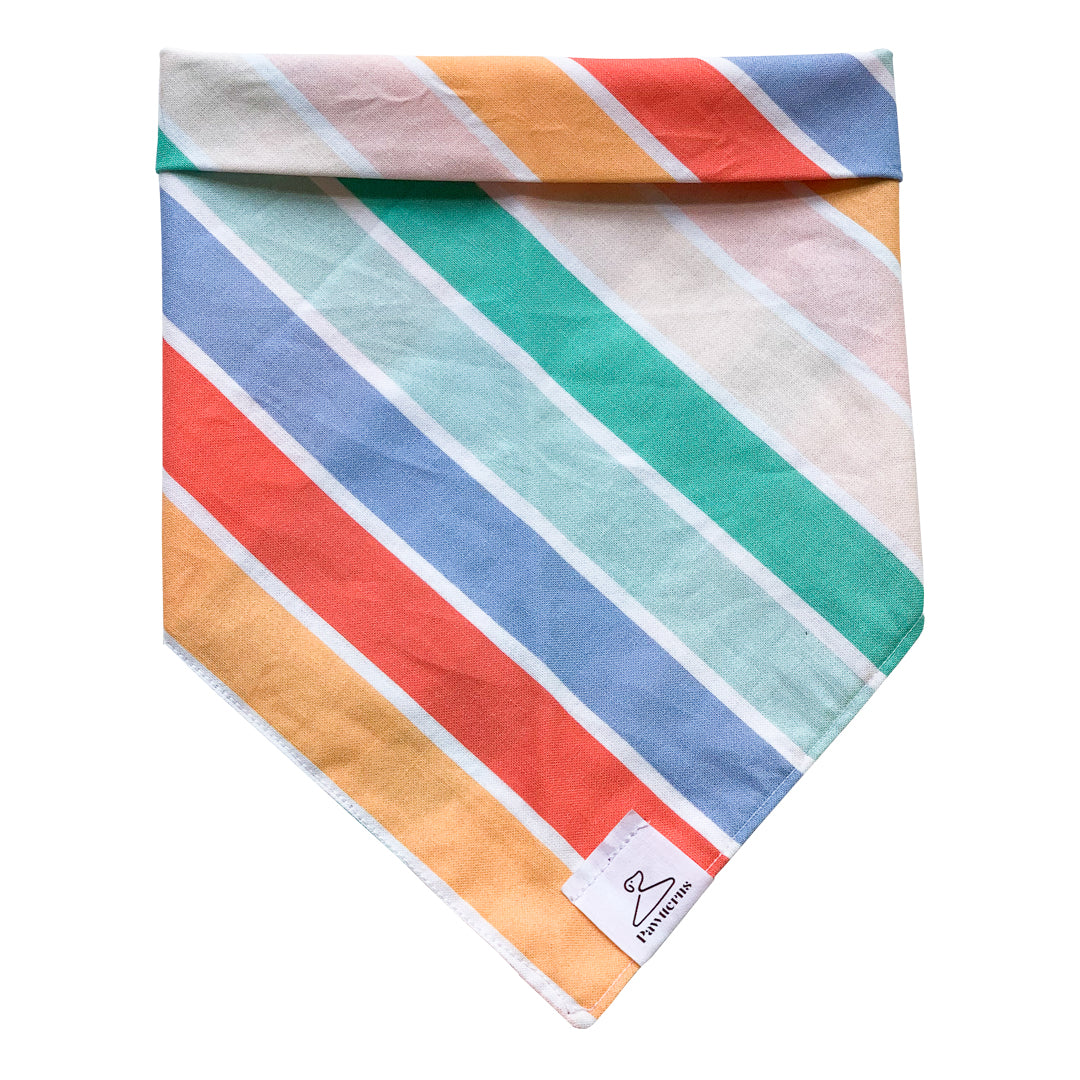 Pride Cat Bandana