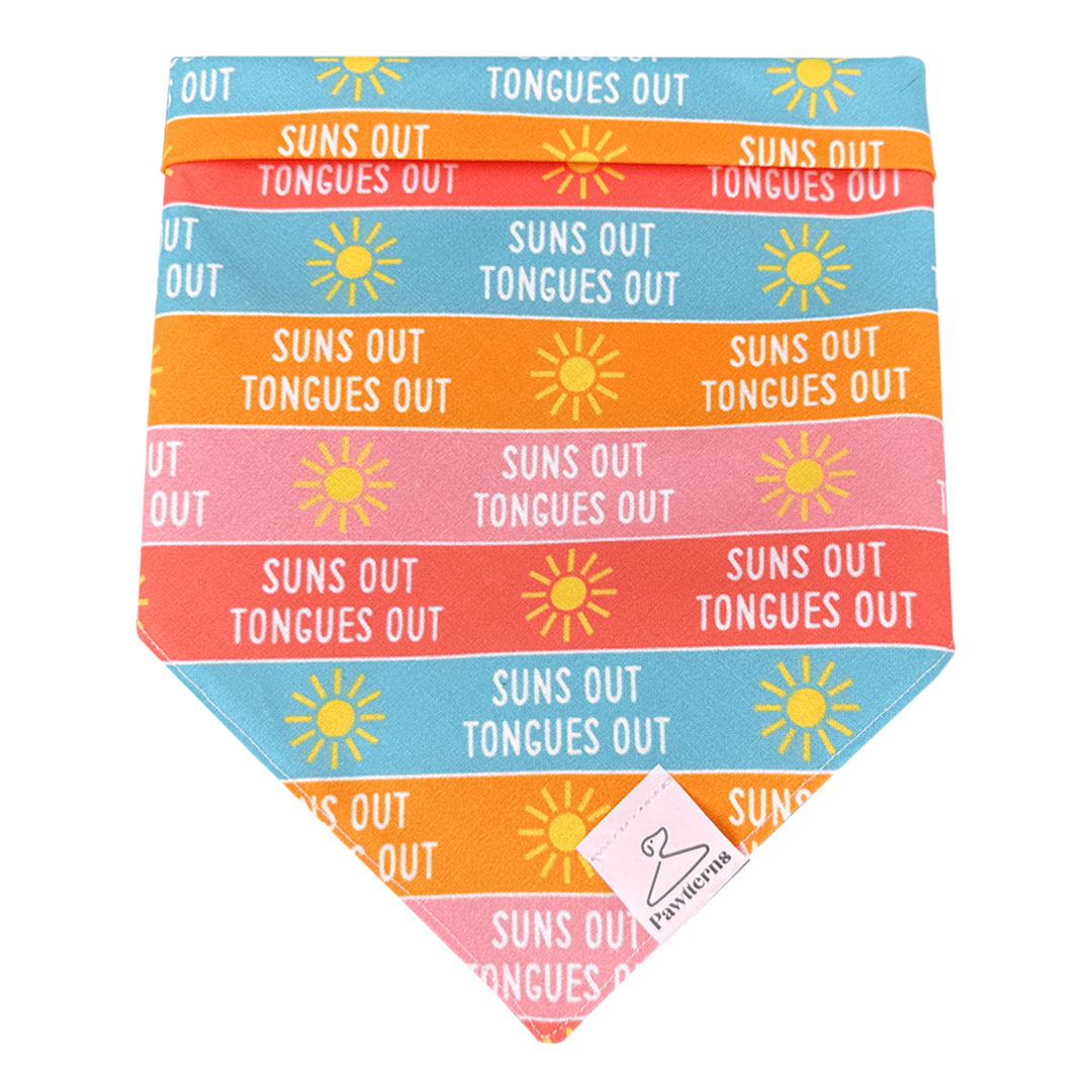 Suns Out Cat Bandana