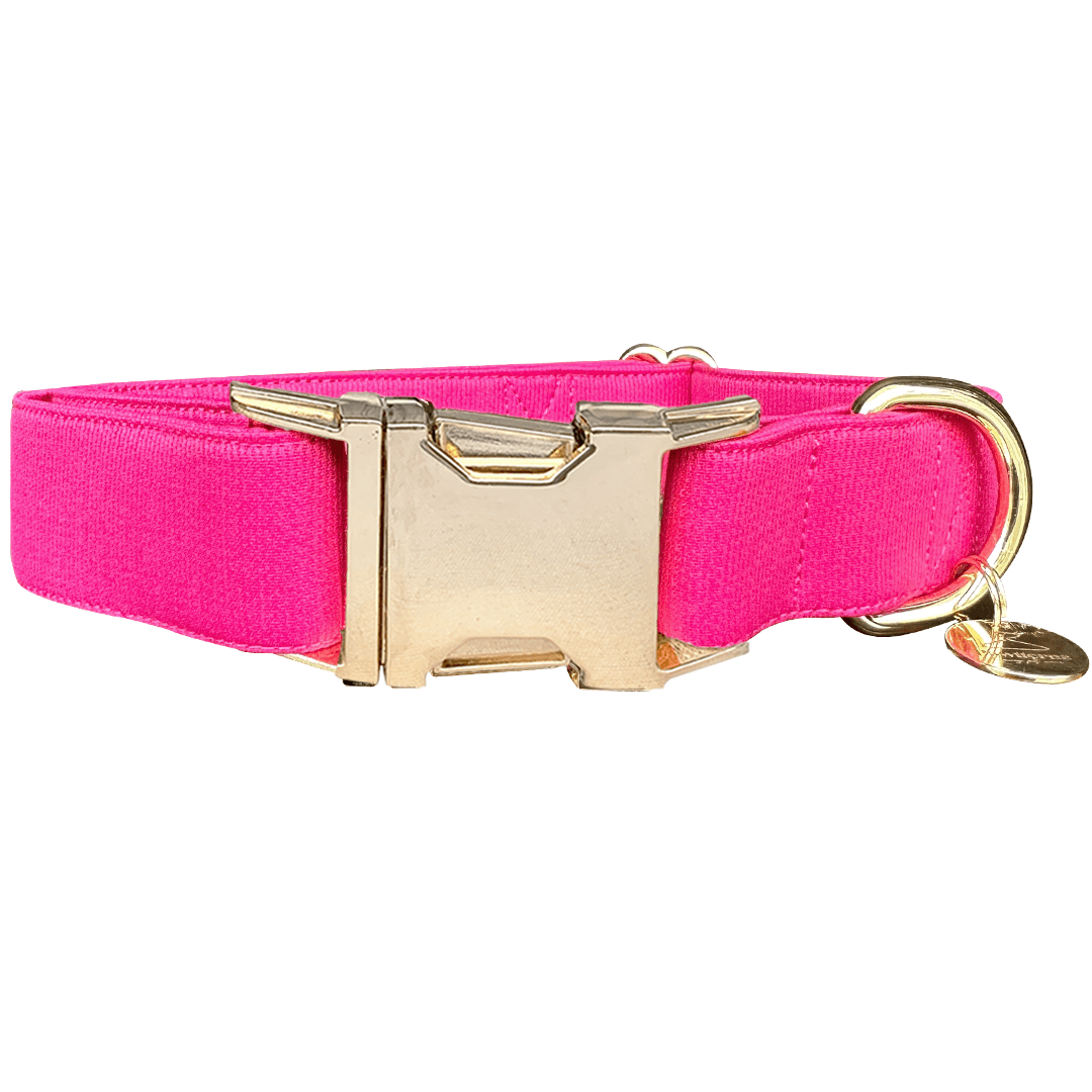 Barbie dog collar best sale