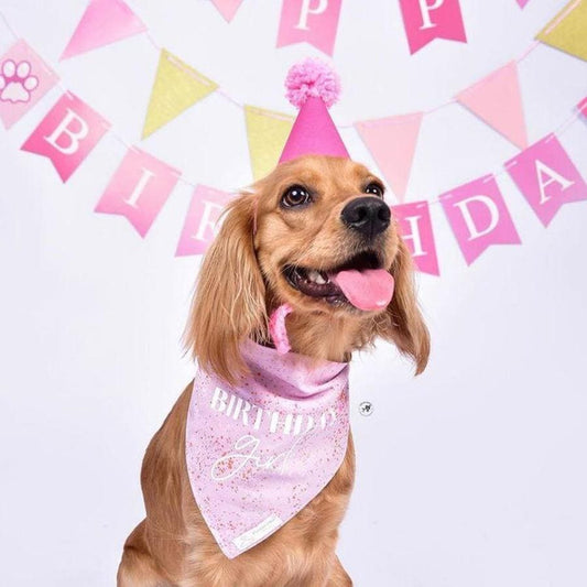 Birthday Girl Dog Bandana