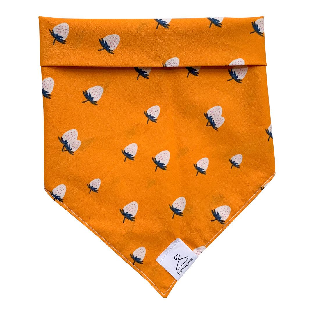 Berry Hot Dog Bandana