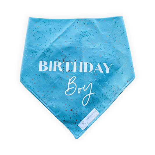 Birthday Boy Dog Bandana