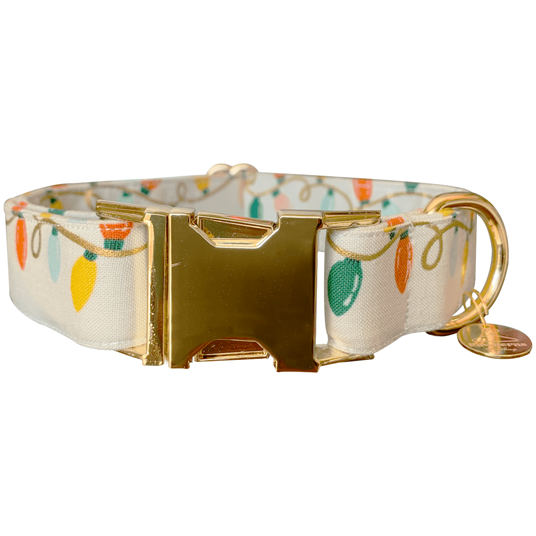 Christmas Lights Dog Collar