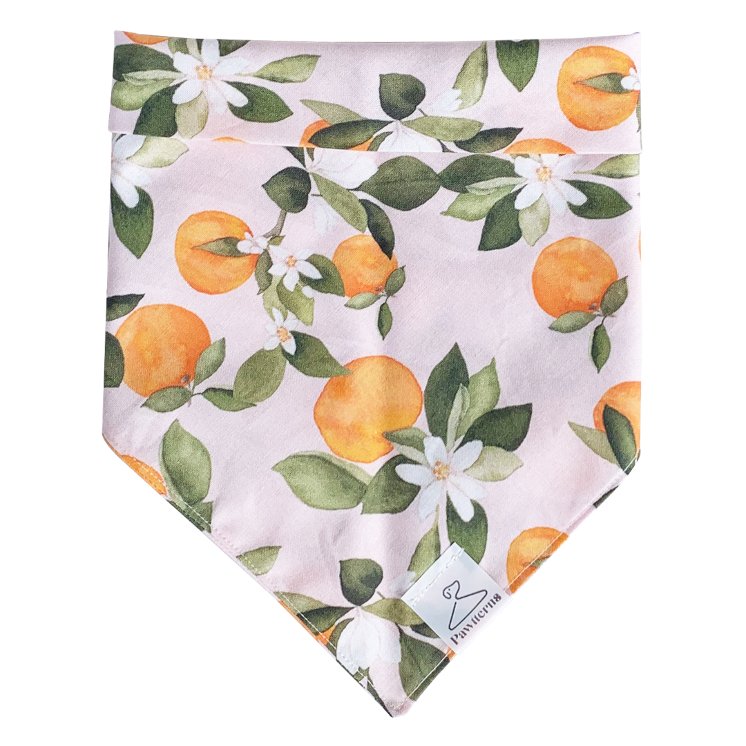 Clementine Dog Bandana