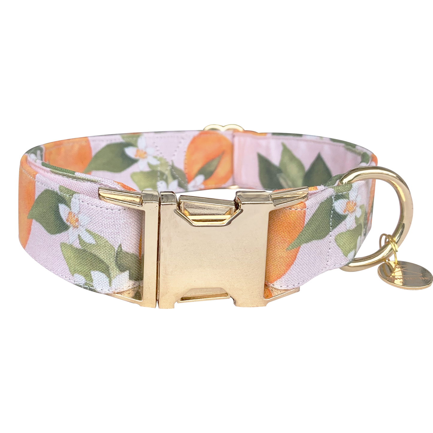 Clementine Dog Collar
