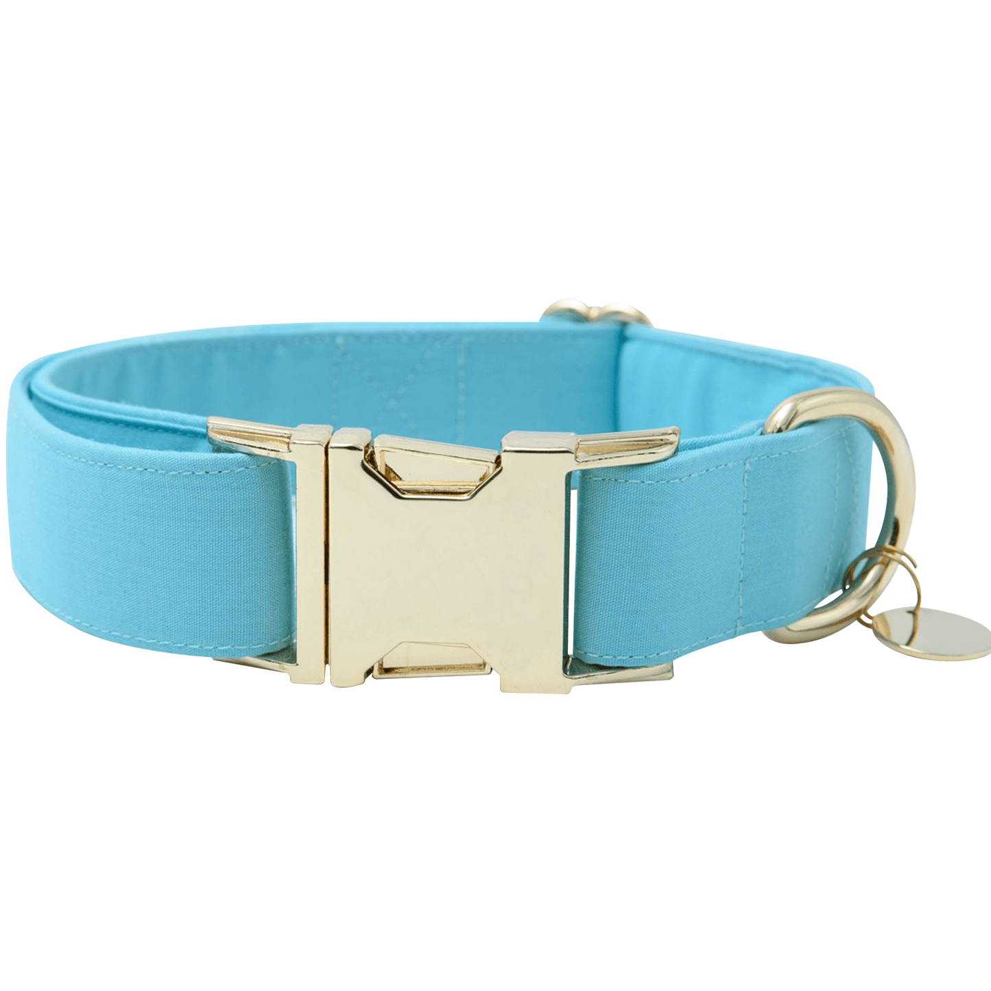 Collar para mascotas color azul bahia
