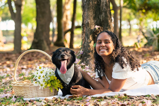Sage Rainbows Dog Bandana
