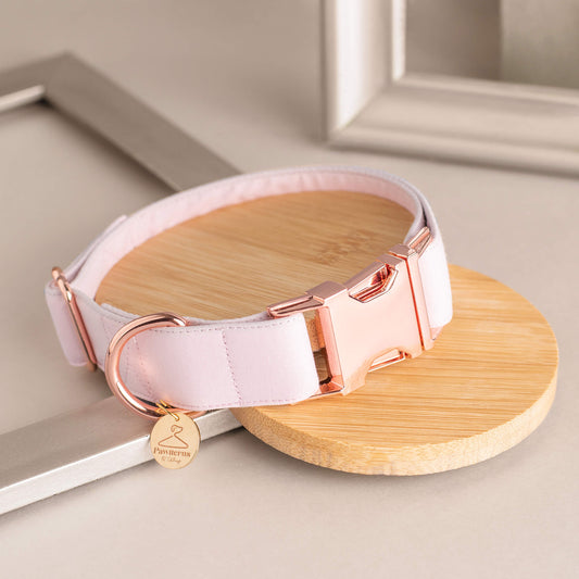Blush Dog Collar