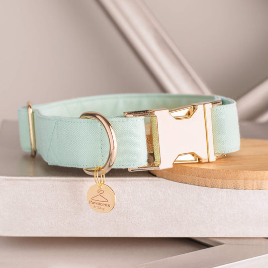 Mint Dog Collar