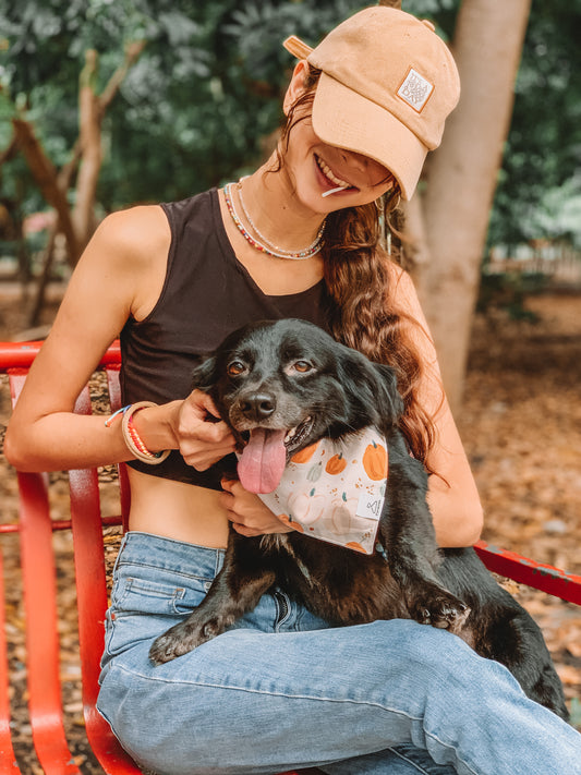Pumpkin Patch Dog Bandana