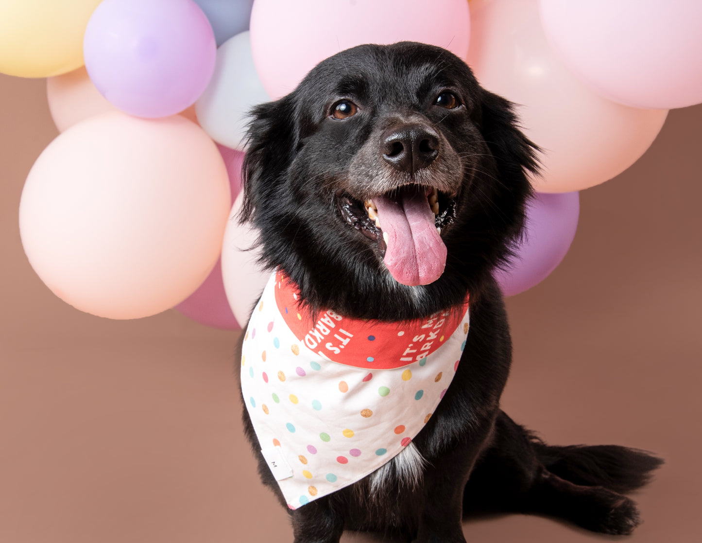 Barkday Dog Bandana