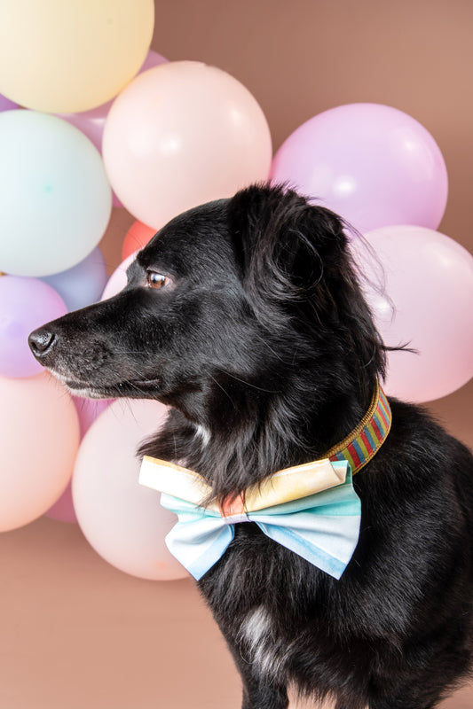 Rainbow Cake Bow Tie
