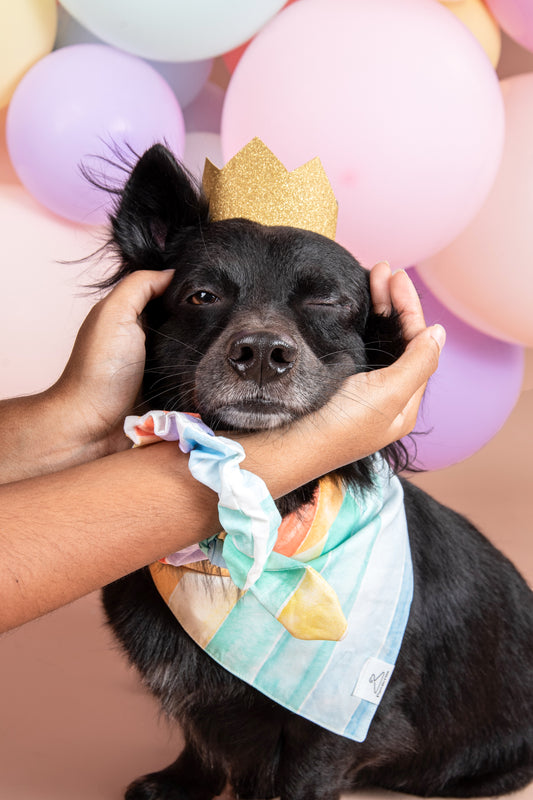 Rainbow Cake Dog Bandana
