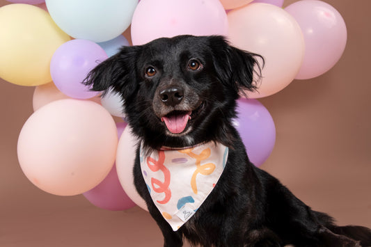 Fiesta Dog Bandana
