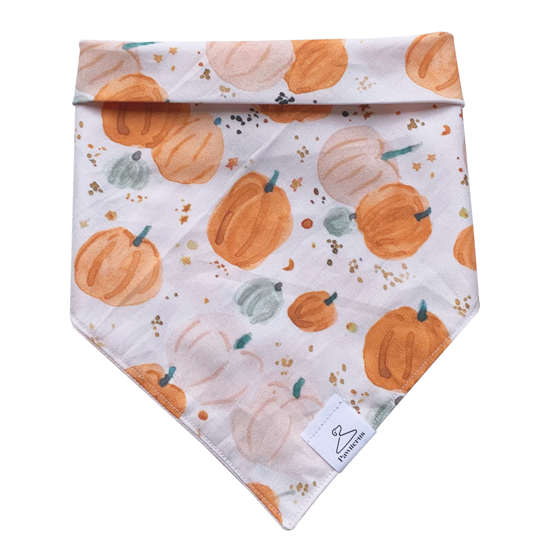 Pumpkin Patch Dog Bandana
