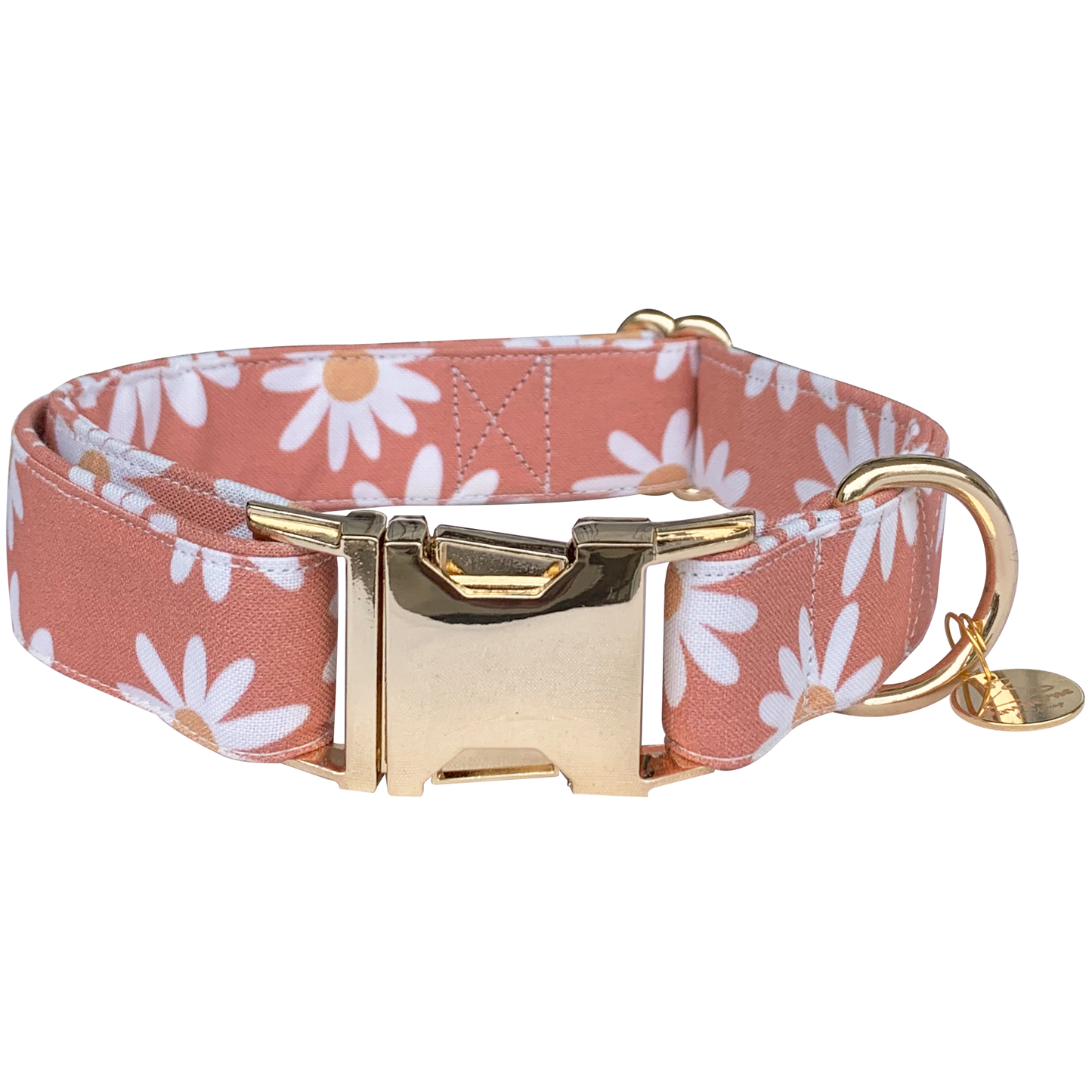 Tan Daisies Dog Collar