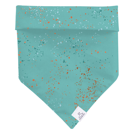 Birthday Boy Dog Bandana