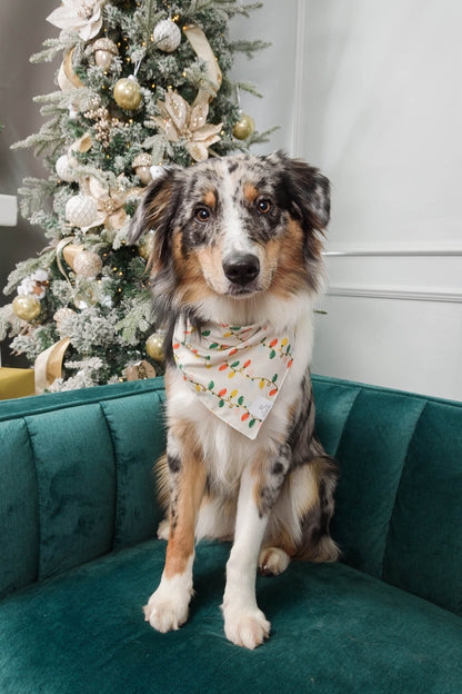 Christmas Lights Dog Bandana