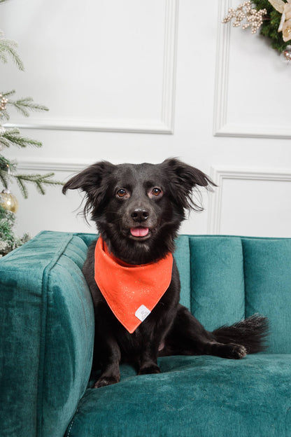 Jingle Bells Dog Bandana